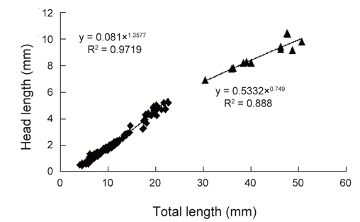 Relationship between total length and head length of Microstomus achne.