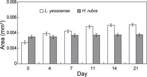 Average surface area of Lithophyllum yessoense and Hildenbrandia rubra sporelings cultured at darkness over 21 days. Culture condition was 20℃ and 34 psu. Vertical bars indicate standard errors (n=30).
