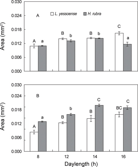 Effects of daylength on the growth of Lithophyllum yessoense and Hildenbrandia rubra sporelings. Sporelings were cultured for 7 days (A) and 14 days (B) under 20℃, 34 psu, and 50 μmol photon m-2 s-1. Vertical bars indicate standard errors (n=3 replicates). A-C, a-c Different letters indicate significant difference between treatments (Tukey HSD test, P<0.05).