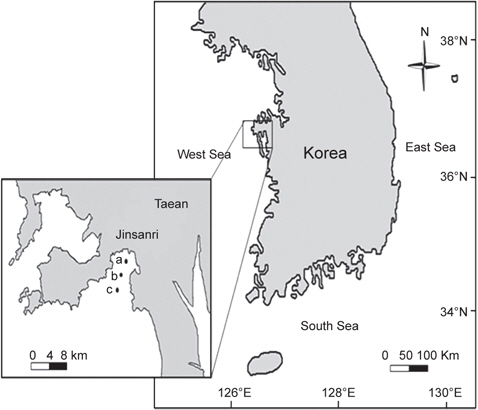 A map showing the study area at Jinsanri, Taean, Korea.a: High, b: Mid, c: Low.