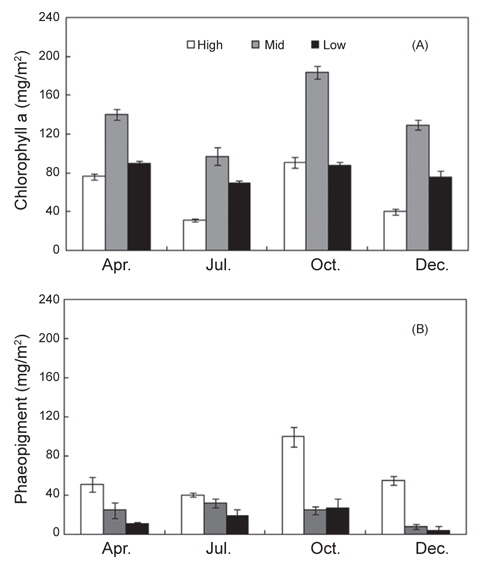 Seasonal variations of chlorophyll a (A) and phaeopigment concentration (B) at three tidal levels (High, Mid, and Low) of Jinsanri mudflat, Taean, Korea during the study period.