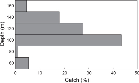Total catch of Zenopsis nebuloas by depth.