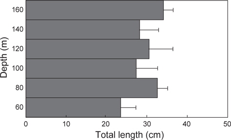 Total length frequency distribution of Zenopsis nebulosa by depth.
