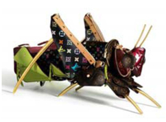 ‘Grasshopper’ in Louis Vuitton Collaboration with Billie Achilleos. www.thinkcontra.com