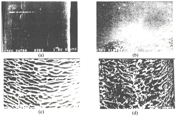 SEM photographs of PP fibers: untreated (a) and O2 plasma-treated with discharge power of 100W for 30 min at different discharge pressure of; (b) 100 mTorr, (c) 175 mTorr, and (d) 250 mTorr.