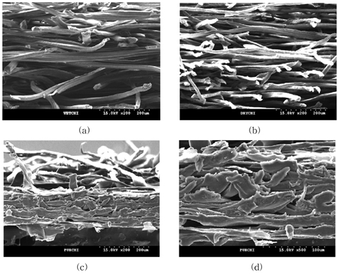 SEM image of a cross-section of chitosan non-woven fabric ？ (a) Wet chitosan fiber and non hot press, (b) DCNF-200, (c) WCNF-200(× 200), and (d) WCNF-200(× 500).