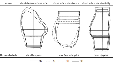 Virtual longitudinal sections of each parametric body.
