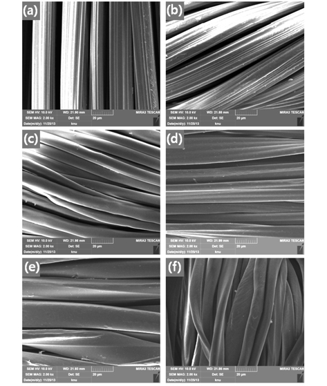 SEM morphologies of warp and weft used in this study (magnitude: 2000×); (a) viscose rayon (warp, non-twisted), (b) viscose rayon (weft, twisted), (c) tencel spun yarn (weft), (d) PET High absorbance quick dry filament (weft), (e) Rayon-like filament (weft), (f) cotton spun yarn (warp and weft).