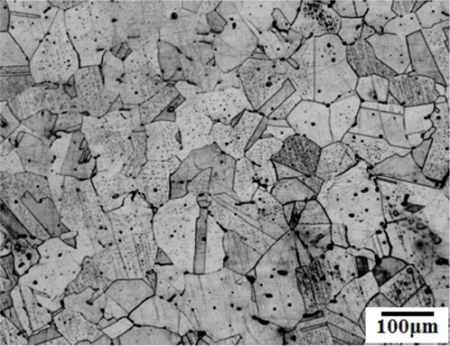 Microstructure of 316 stainless steel