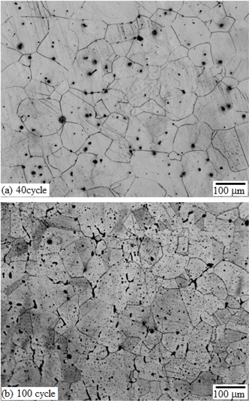 Microstructures of 316 stainless steels depending on the increase of cyclic thermal shock number