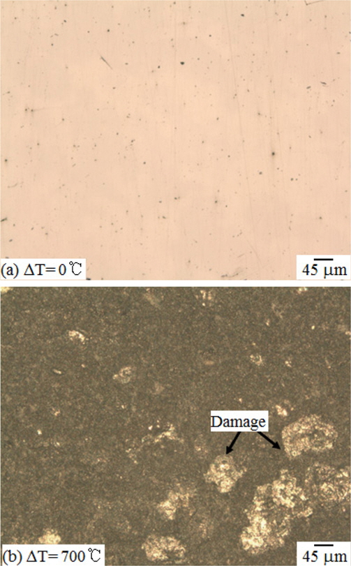Surface observation for 316 stainless steel suffered from the cyclic thermals shock at the thermal shock temperature difference of 700°C