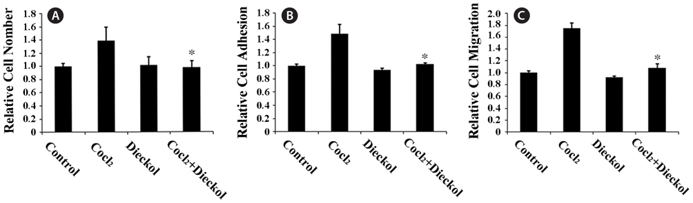Dieckol inhibits CoCl2-induced proliferation, adhesion, and migration of HUVECs. A, HUVECs were incubated in the absence or presence of 100 μM CoCl2 and 25 μM dieckol for 24 h and then assessed for cell proliferation; B, Cells were treated as described for A, and cell adhesion was determined on a fibronectin-coated dish. The adhered cells were quantified by cell counting as described in the methods section. Values are means ± standard deviation from 3 independent experiments; C, Wound-healing scratch assays were performed with HUVECs plated onto fibronectin-coated dishes. After serum starvation, cells were incubated in the absence or presence of 100 μM CoCl2 and 25 μM dieckol for 24 h. A sterile 200 μL pipette tip was used to scratch the cells to form a model wound. Cell migration was quantified by measurement of the gap size of 4 different images at 0 and 16 h. Results of 3 independent experiments were averaged. PBS-treated cells were used as a control. ？, P < 0.05 compared with CoCl2.