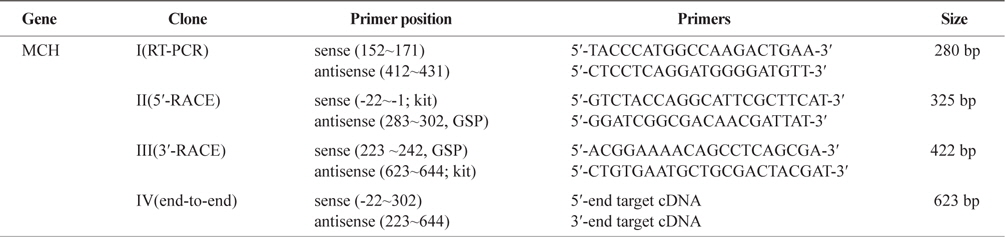 Primers used for the isolation of MCH 1 & 2 cDNAs, the synthesis of full length- first strand cDNA and the 5′-and 3′-RACEs