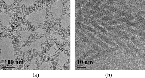 (a) SEM and (b) TEM micrographs of 5 nm × 35 nm (aspect ratio: 7) CdSe/CdS Q-rods.