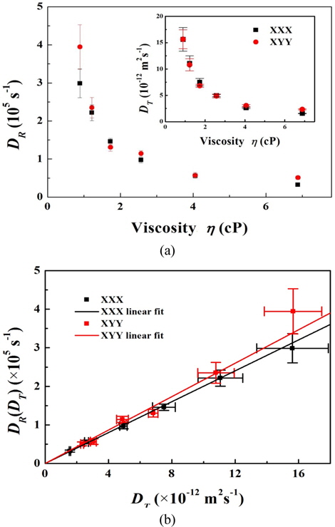 (a) Effects of viscosity on translational and rotational diffusion coefficients. (b) Rotational diffusion coefficient versus translational diffusion coefficient for the XXX and XYY states.