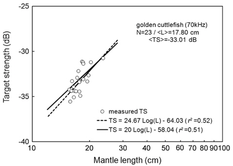 Relationship between mantle length (L) and mean target strength (TS) at 70 kHz for 23 individuals of live cuttlefish Sepia esculenta caught during the spawning season in the waters southwest of Korea.