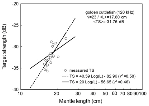 Relationship between mantle length (L) and mean target strength (TS) at 120 kHz for 23 individuals of live cuttlefish Sepia esculenta caught during the spawning season in the waters southwest of Korea.