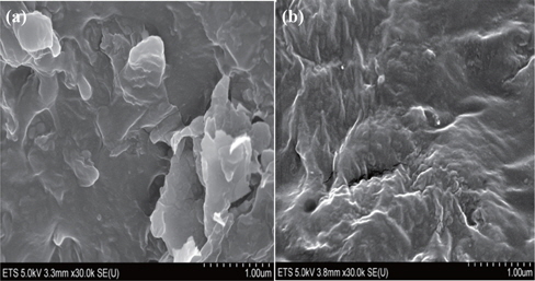 SEM micrograph of LLDPE+3% O-MMT+10% M603 for a screw speed of (a) 50 rpm and (b) 350 rpm.