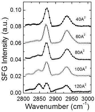 SFG spectra of DPTAP/DMPG monolayers at different molecular areas at the surface.