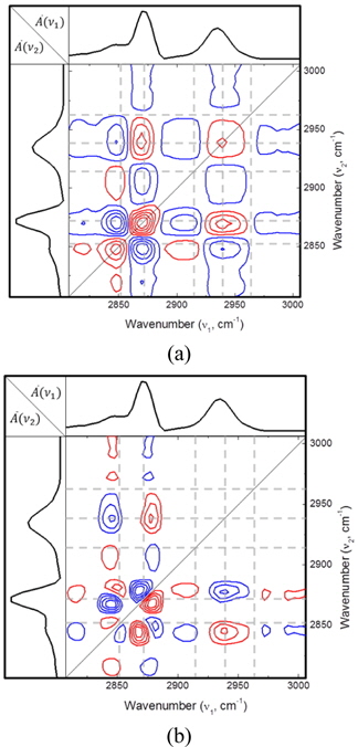 2D correlation maps of SF spectra of DPTAP DMPG monolayer. (a) Synchronous map, (b) Asynchronous map.