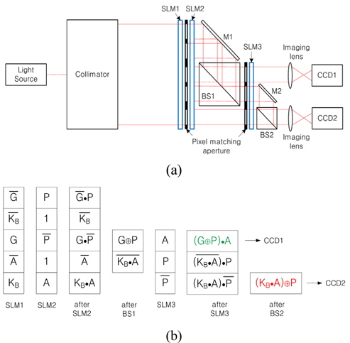 Optical implementation for the proposed secret key sharing based on Diffie-Hellman key exchange architecture: (a) the proposed optical module, (b) representations of input SLMs’ data and output CCDs’ data.