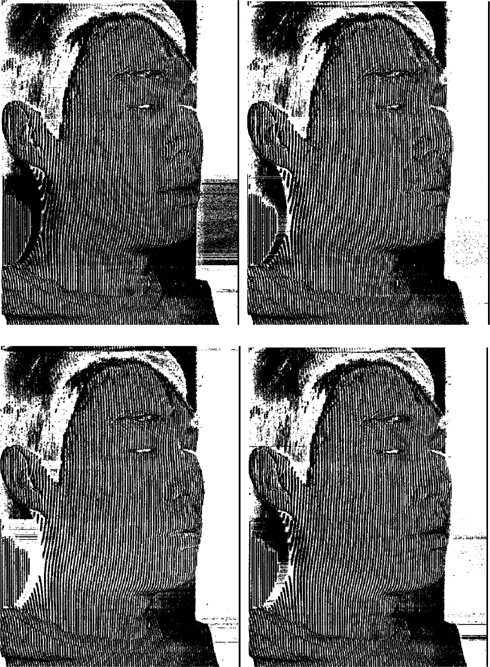 4 different deformed grating images obtained with virtual reference gratings.