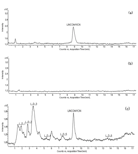 Comparison of LC/MS/MS chromatograms of (a) non-irradiated lincomycin STD, (b) irradiated blank sample, and (c) irradiated lincomycin spiked sample.