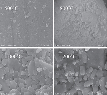 SEM images of the Ca1.5Sr0.5SiO4:0.05Eu2+ phosphors at different temperatures.