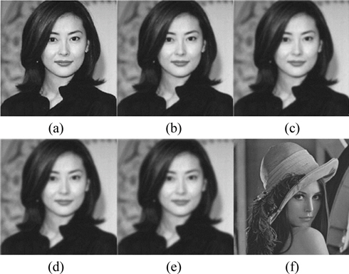 256 × 256 gray images of a portrait captured by defocused camera.
