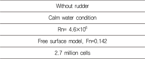 Calculation conditions (free surface model)