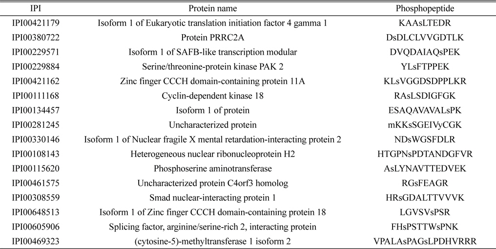 Identified 16 unique phosphorylated proteins in the control group. Lower case s and t represent phosphorylated serine and threonine
