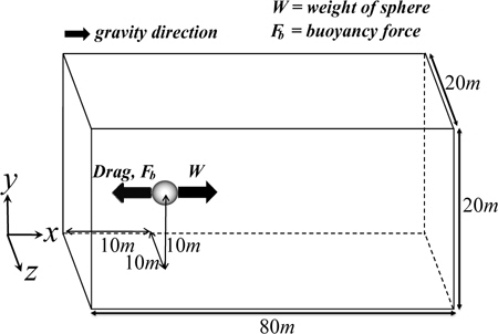 Physical configuration and computational domain of the free-falling sphere problem