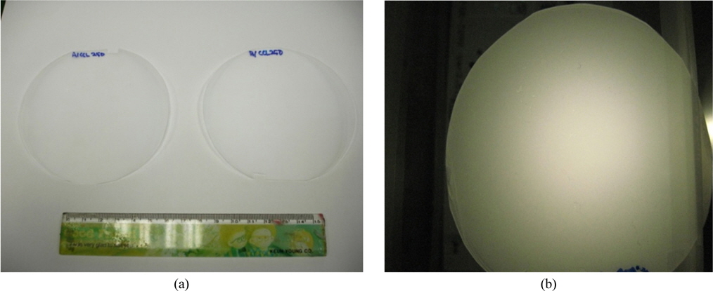 (a) Appearance of UV-cured molding film (full scale of the ruler: 15 cm), and (b) transmitted light through the fabricated PC and PMMA sheets.