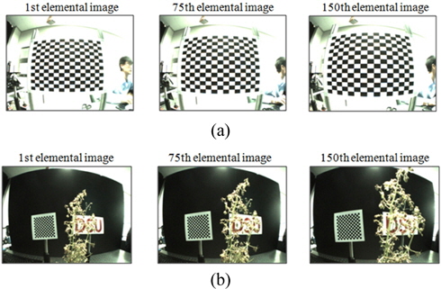 Examples of the recorded elemental images with the image distortion (a) Chessboard patter for calibration process (b) 3D objects.