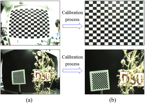 Experimental results: (a) 150th recorded elemental images for chessboard pattern and 3D objects before calibration process, (b) 150th calibrated elemental images for chessboard pattern and 3D objects after calibration process.