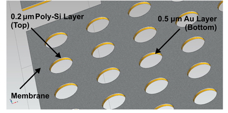 Close-up view of layered Poly-Si and Au membrane, the image showing the 0.2 μm Poly-Si layer on top of 0.5 μm thick gold layer. The image shown is a close-up view taken from the corner area of the central part of membrane.