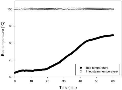 Bed and inlet steam temperature profile.