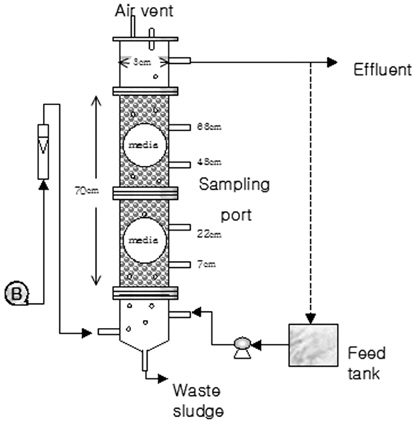 Schematic diagram of biological aerated filter set-up.