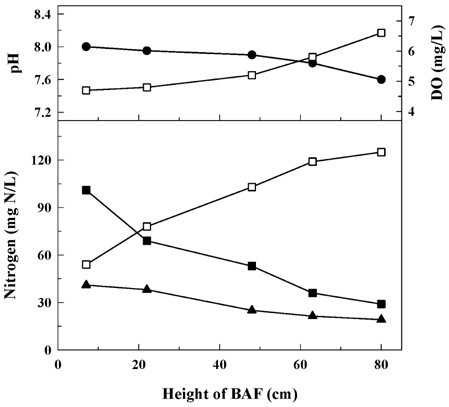 pH, DO, and nitrogen concentrations according to the height of BAF. (●: pH; □: DO, NO3--N; ■: NH4+-N; ▲: NO2--N)