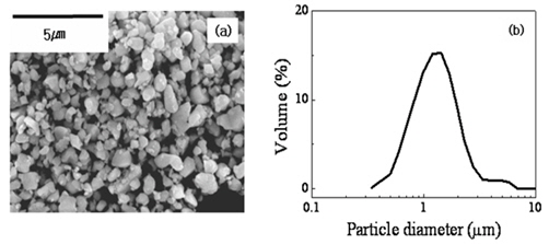 Characteristics of prepared PZT powder : (a) SEM image and (b) particle size distribution.