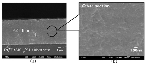 FE-SEM micrographs showing cross-sectional view of as-deposited PZT film on Pt/Ti/SiO2/Si sustrate : (a) low magnification and (b) high magnification image for the selected area