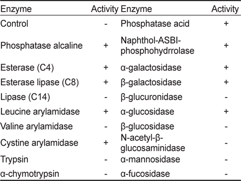 Enzyme activities of Bacillus coagulans KM-1 by APIZYM kit