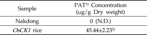 PAT protein levels (μg/g Dry weight) in non-Genetically modified (non-GM) rice (Nakdong) and Disease Resistant (OsCK1) rice