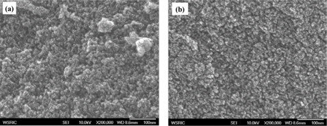Scanning electron microscope images of the nanoporous carbons (NPCs) as a function of the activation temperature: (a) NPCs, (b) NPCs-900.
