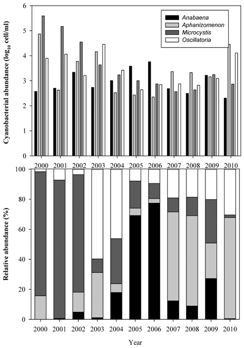 Variation of cyanobacteria genus (top) and percentage of relative abundance (bottom) from 2000 to 2010 in Chudong station of the Daechung reservoir.
