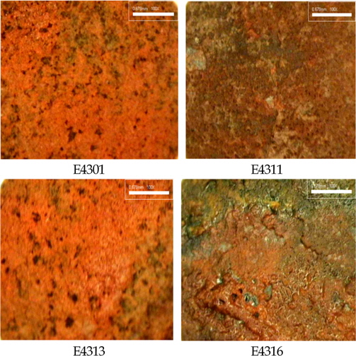 Morphologies of corroded surfaces of weld metal zones after measured polarization curves(x100)
