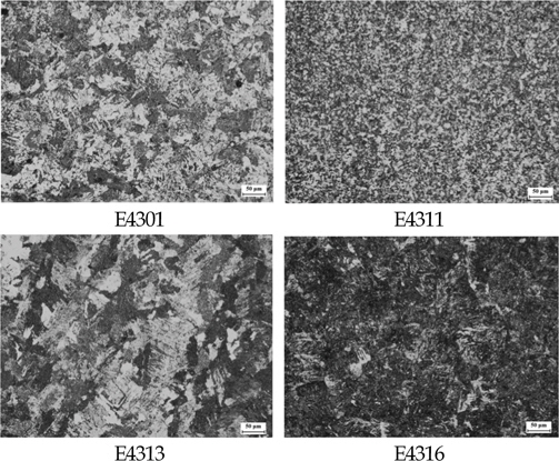Variation of microstructures of weld metal zones with various electrodes(x100)
