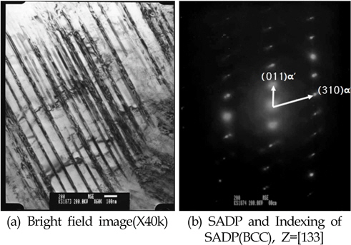 TEM micrographs showing the deformation induced martensite in 70％ cold rolled high manganese austenite stainless steel