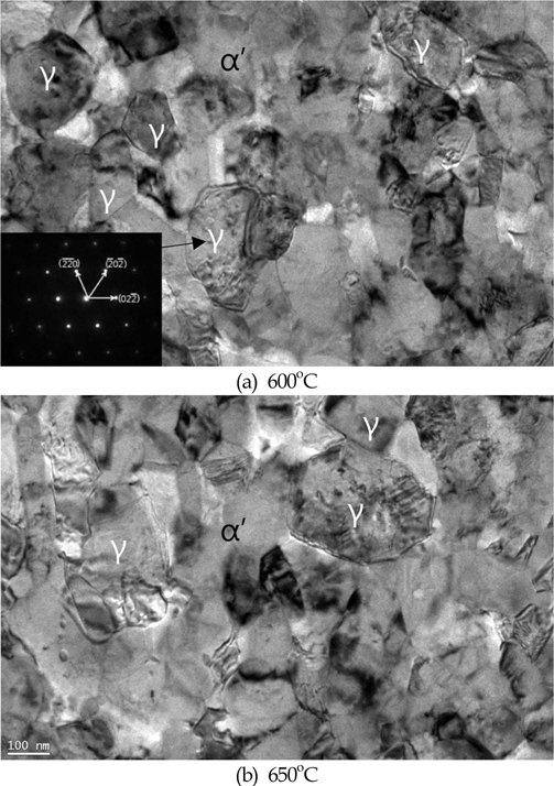 TEM micrographs showing the reversed austenite obtained by annealing treatment at 600℃ and 650℃ for 10min. in 70％ cold relled high manganese austenitic stainless steel