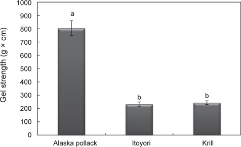 Gel strength of Alaska pollack Theragra chalcogramma, itoyori Nemipterus virgatus and krill Euphausia superba surimi.